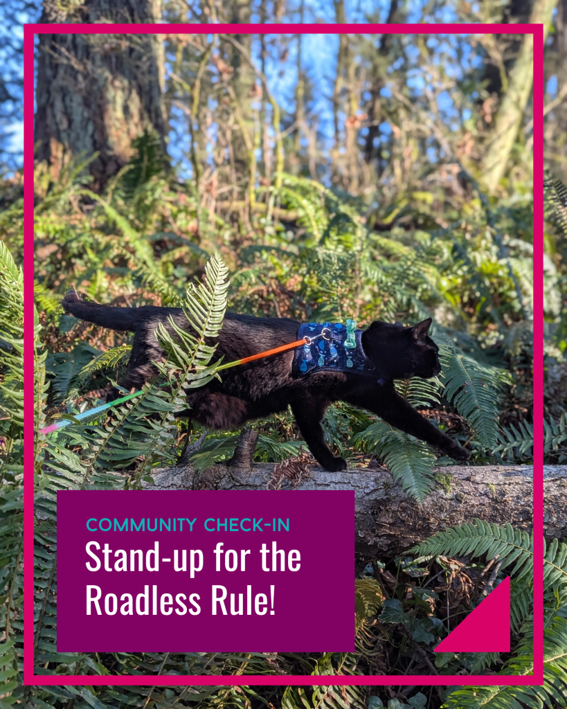 Submit your public comment!